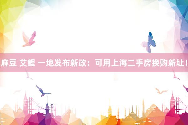 麻豆 艾鲤 一地发布新政：可用上海二手房换购新址！