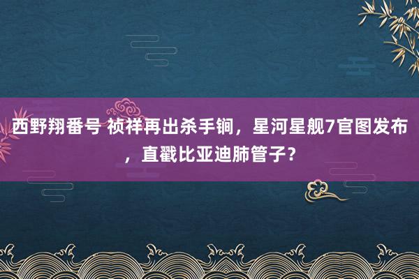 西野翔番号 祯祥再出杀手锏,星河星舰7官图发布,直戳比亚迪肺管子?
