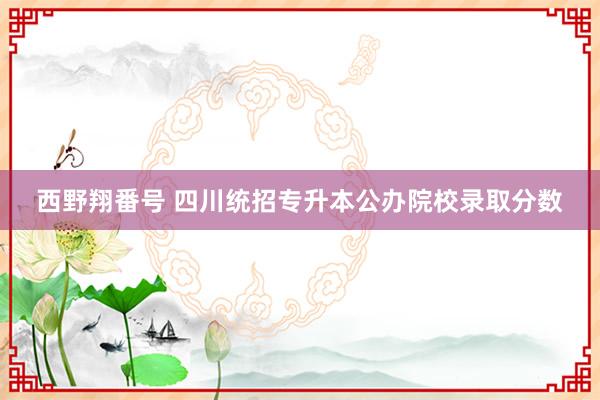 西野翔番号 四川统招专升本公办院校录取分数