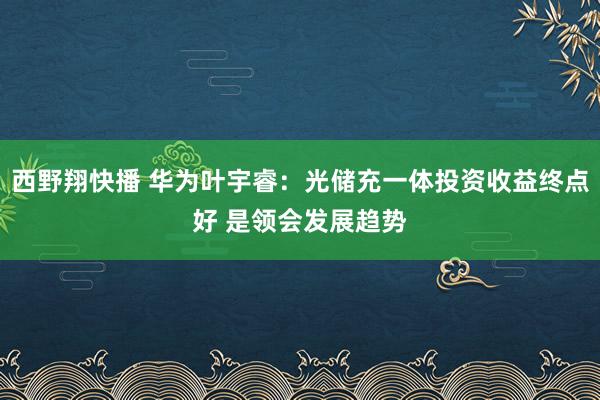 西野翔快播 华为叶宇睿：光储充一体投资收益终点好 是领会发展趋势