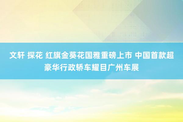 文轩 探花 红旗金葵花国雅重磅上市 中国首款超豪华行政轿车耀目广州车展