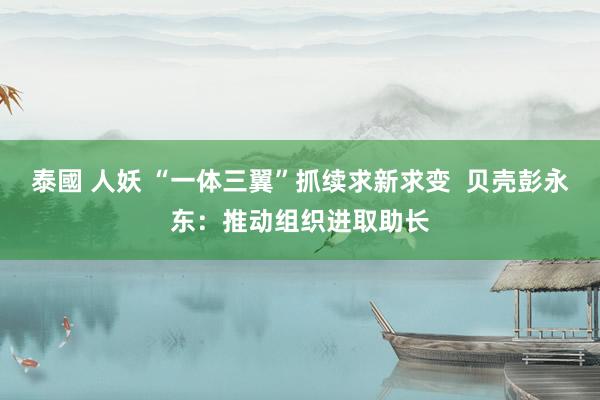 泰國 人妖 “一体三翼”抓续求新求变  贝壳彭永东：推动组织进取助长