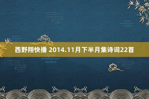 西野翔快播 2014.11月下半月集诗词22首