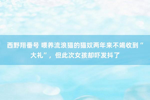 西野翔番号 喂养流浪猫的猫奴两年来不竭收到“大礼”，但此次女孩却吓发抖了