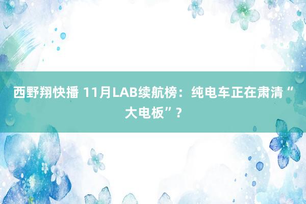 西野翔快播 11月LAB续航榜：纯电车正在肃清“大电板”？