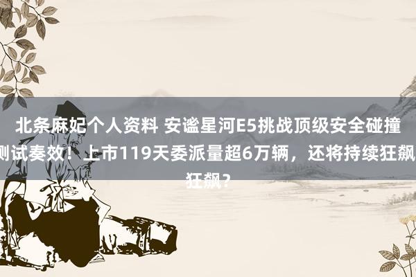 北条麻妃个人资料 安谧星河E5挑战顶级安全碰撞测试奏效！上市119天委派量超6万辆，还将持续狂飙？