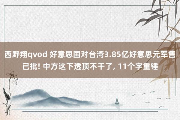 西野翔qvod 好意思国对台湾3.85亿好意思元军售已批! 中方这下透顶不干了， 11个字重锤