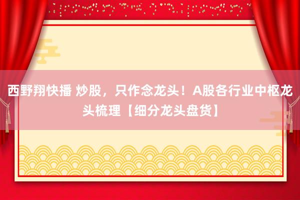西野翔快播 炒股，只作念龙头！A股各行业中枢龙头梳理【细分龙头盘货】