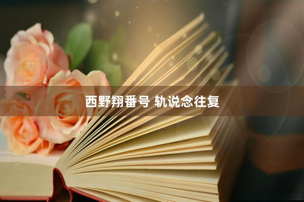西野翔番号 轨说念往复
