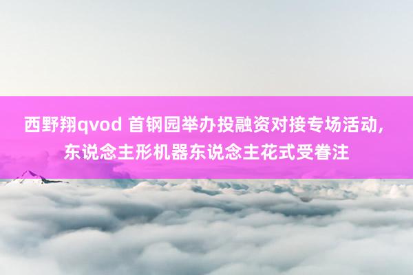 西野翔qvod 首钢园举办投融资对接专场活动， 东说念主形机器东说念主花式受眷注