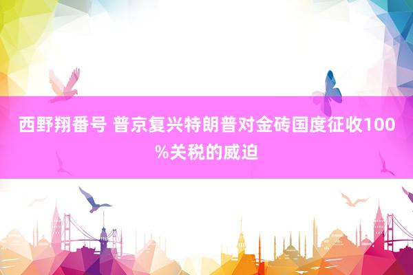 西野翔番号 普京复兴特朗普对金砖国度征收100%关税的威迫