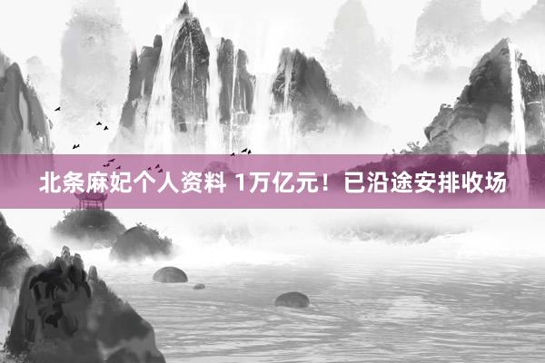北条麻妃个人资料 1万亿元！已沿途安排收场