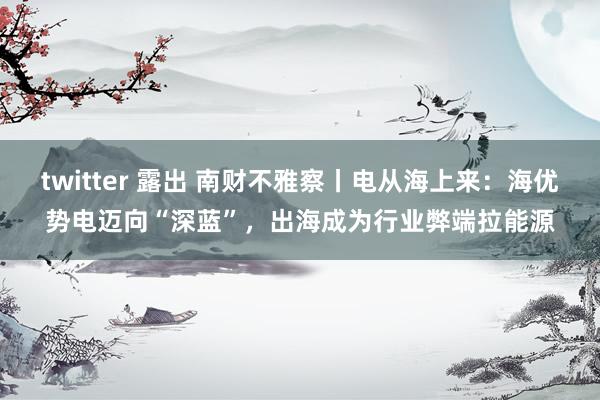 twitter 露出 南财不雅察丨电从海上来：海优势电迈向“深蓝”，出海成为行业弊端拉能源