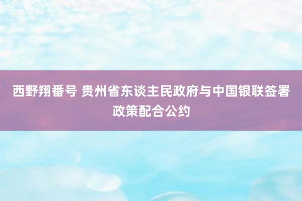 西野翔番号 贵州省东谈主民政府与中国银联签署政策配合公约