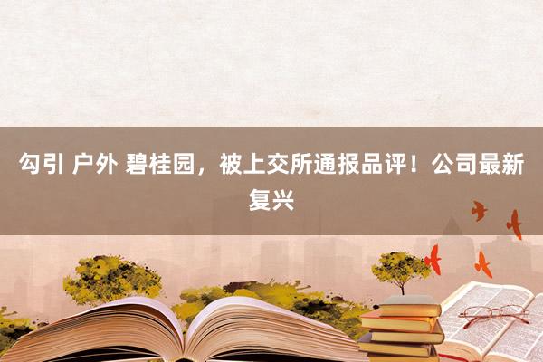 勾引 户外 碧桂园，被上交所通报品评！公司最新复兴