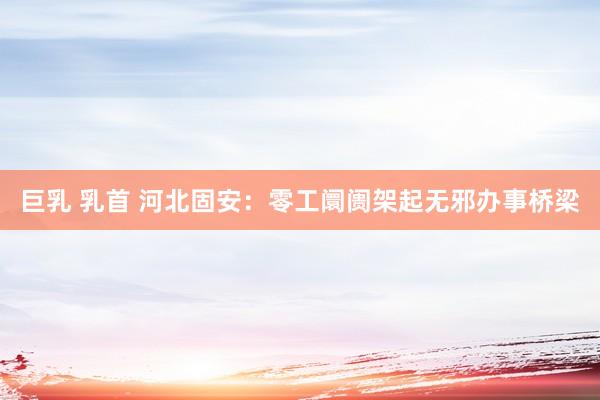 巨乳 乳首 河北固安：零工阛阓架起无邪办事桥梁