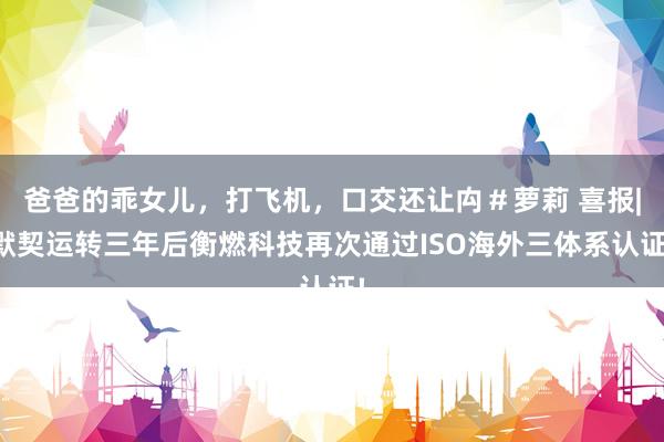 爸爸的乖女儿，打飞机，口交还让禸＃萝莉 喜报|默契运转三年后衡燃科技再次通过ISO海外三体系认证!