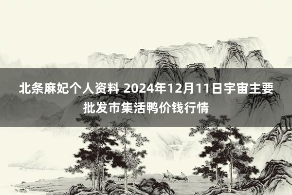 北条麻妃个人资料 2024年12月11日宇宙主要批发市集活鸭价钱行情