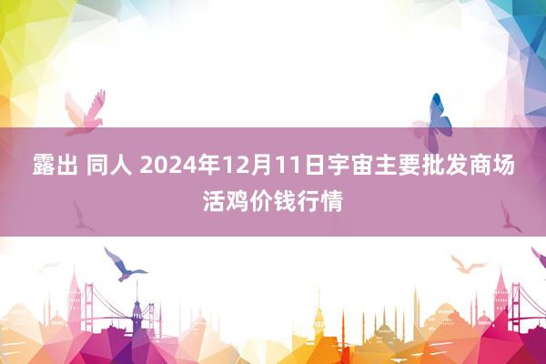露出 同人 2024年12月11日宇宙主要批发商场活鸡价钱行情