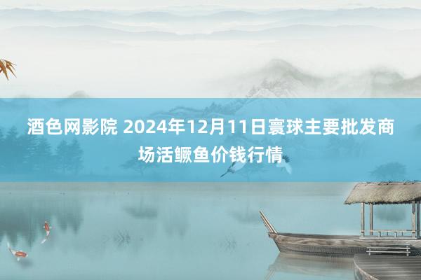 酒色网影院 2024年12月11日寰球主要批发商场活鳜鱼价钱行情