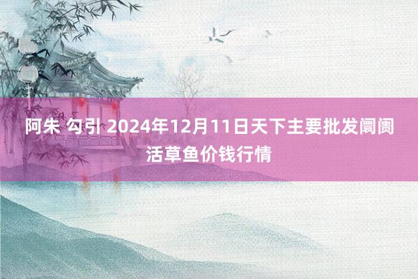 阿朱 勾引 2024年12月11日天下主要批发阛阓活草鱼价钱行情