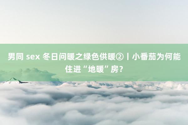 男同 sex 冬日问暖之绿色供暖②丨小番茄为何能住进“地暖”房？