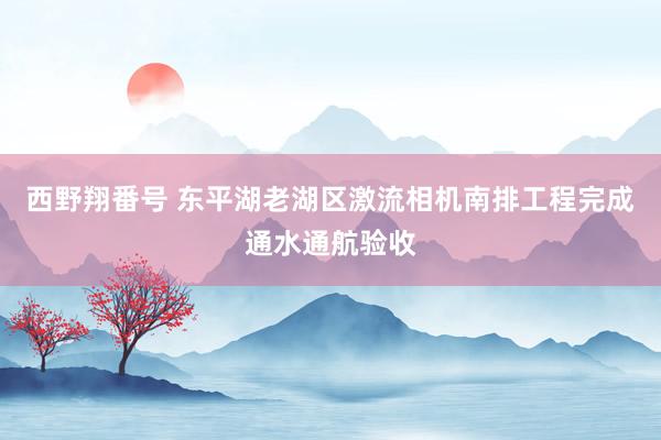 西野翔番号 东平湖老湖区激流相机南排工程完成通水通航验收