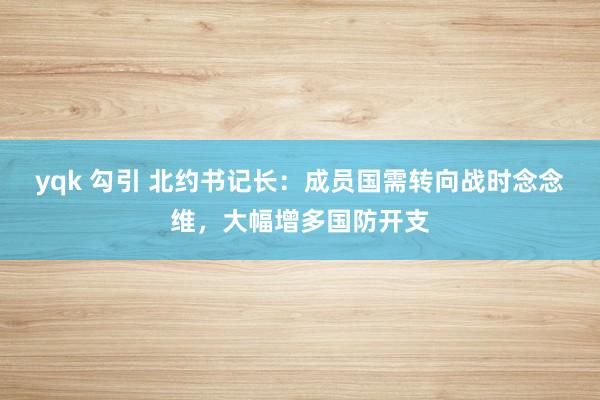 yqk 勾引 北约书记长：成员国需转向战时念念维，大幅增多国防开支