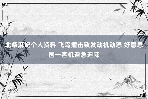 北条麻妃个人资料 飞鸟撞击致发动机动怒 好意思国一客机遑急迫降