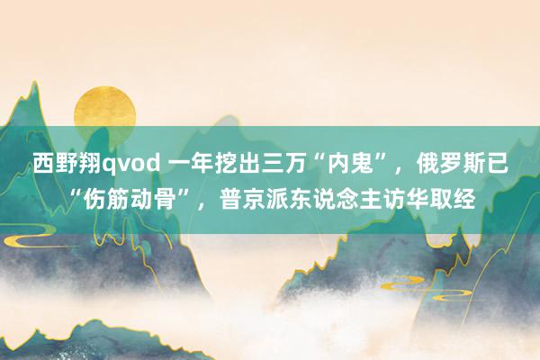 西野翔qvod 一年挖出三万“内鬼”，俄罗斯已“伤筋动骨”，普京派东说念主访华取经