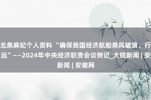 北条麻妃个人资料 “确保我国经济航船乘风破浪、行稳致远”——2024年中央经济职责会议侧记_大皖新闻 | 安徽网