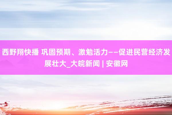 西野翔快播 巩固预期、激勉活力——促进民营经济发展壮大_大皖新闻 | 安徽网