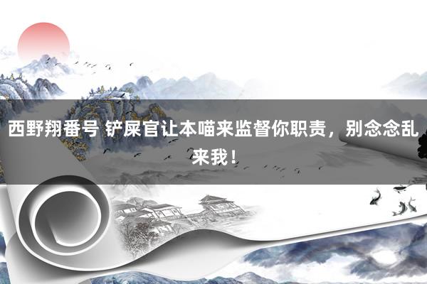 西野翔番号 铲屎官让本喵来监督你职责，别念念乱来我！
