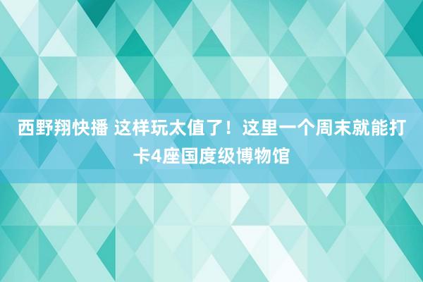 西野翔快播 这样玩太值了！这里一个周末就能打卡4座国度级博物馆