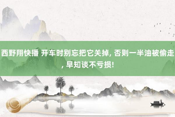 西野翔快播 开车时别忘把它关掉， 否则一半油被偷走， 早知谈不亏损!