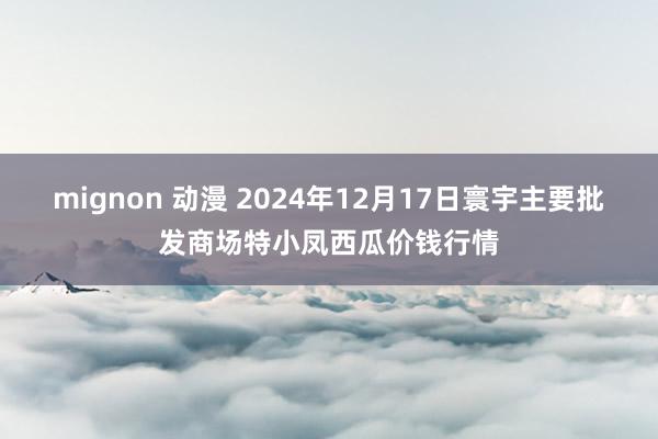 mignon 动漫 2024年12月17日寰宇主要批发商场特小凤西瓜价钱行情