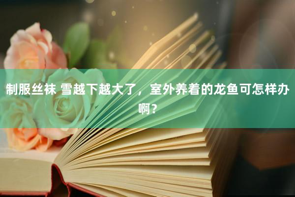 制服丝袜 雪越下越大了，室外养着的龙鱼可怎样办啊？