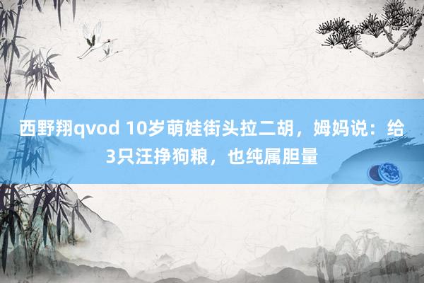 西野翔qvod 10岁萌娃街头拉二胡，姆妈说：给3只汪挣狗粮，也纯属胆量