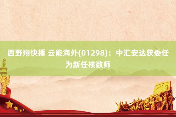 西野翔快播 云能海外(01298)：中汇安达获委任为新任核数师