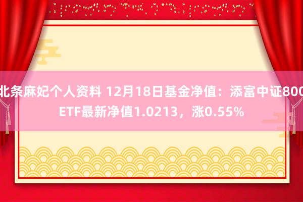 北条麻妃个人资料 12月18日基金净值：添富中证800ETF最新净值1.0213，涨0.55%