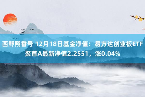 西野翔番号 12月18日基金净值：易方达创业板ETF聚首A最新净值2.2551，涨0.04%