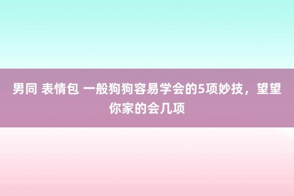 男同 表情包 一般狗狗容易学会的5项妙技，望望你家的会几项