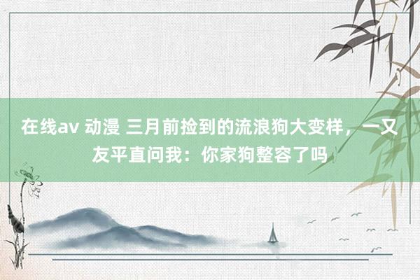 在线av 动漫 三月前捡到的流浪狗大变样，一又友平直问我：你家狗整容了吗
