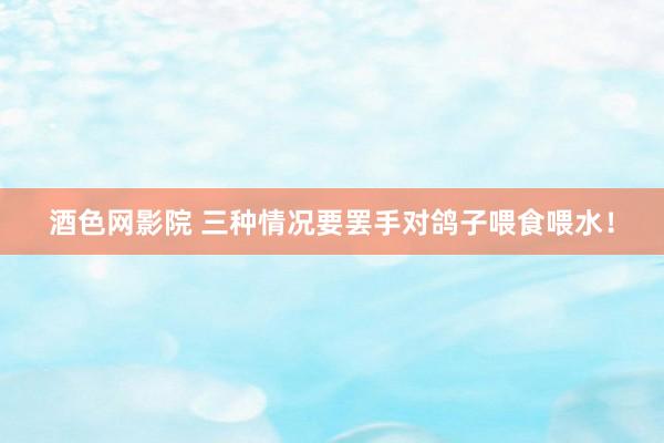 酒色网影院 三种情况要罢手对鸽子喂食喂水！