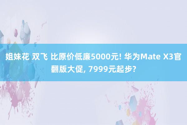 姐妹花 双飞 比原价低廉5000元! 华为Mate X3官翻版大促， 7999元起步?