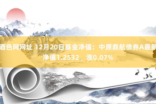 酒色网网址 12月20日基金净值：中原鼎航债券A最新净值1.2532，涨0.07%
