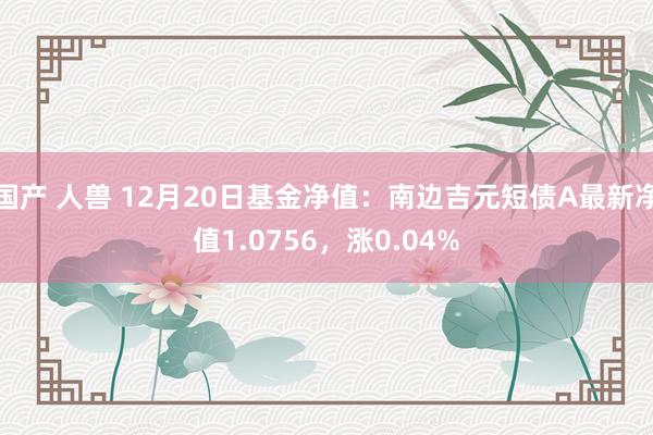 国产 人兽 12月20日基金净值：南边吉元短债A最新净值1.0756，涨0.04%