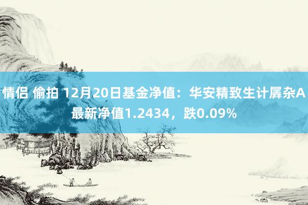 情侣 偷拍 12月20日基金净值：华安精致生计羼杂A最新净值1.2434，跌0.09%