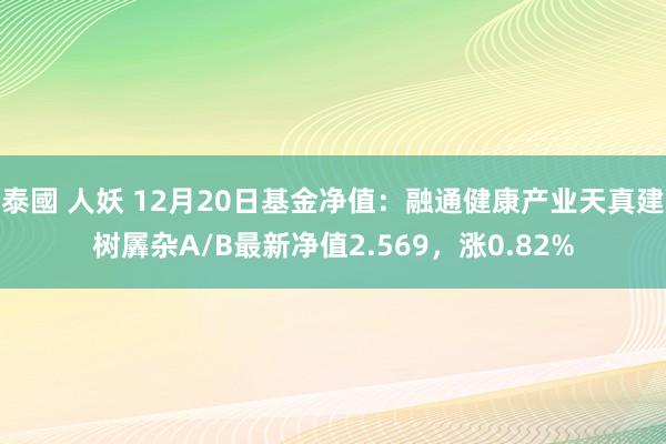 泰國 人妖 12月20日基金净值：融通健康产业天真建树羼杂A/B最新净值2.569，涨0.82%