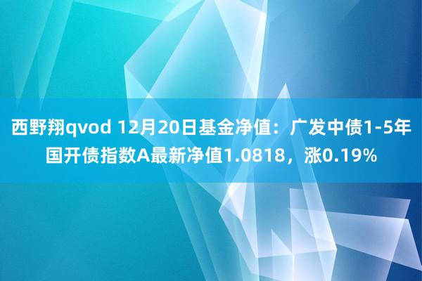 西野翔qvod 12月20日基金净值：广发中债1-5年国开债指数A最新净值1.0818，涨0.19%